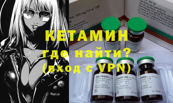 гашик Няндома