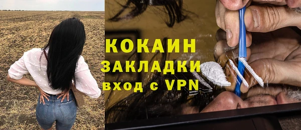 бошки Новозыбков