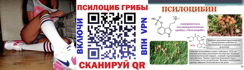 Галлюциногенные грибы Psilocybine cubensis Лысково